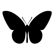 black butterfly.fw transparent.fw